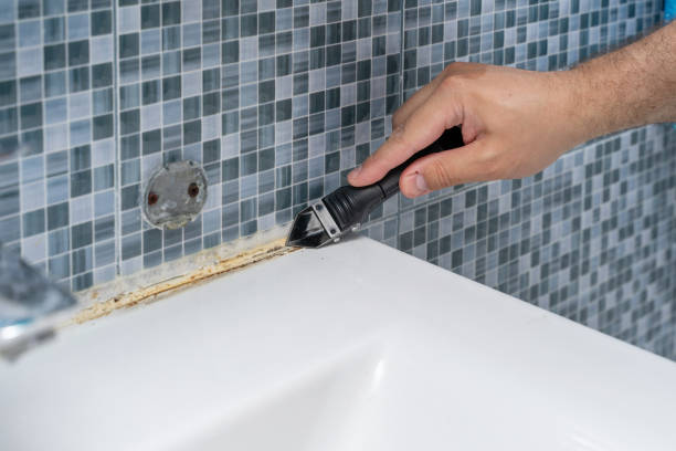 Best Mold Cleaning Services  in Leola, PA